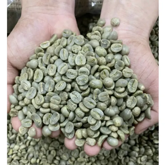 アラビカS18コーヒー豆 – プレミアム原材料 - ASET INTERNATIONAL 有限